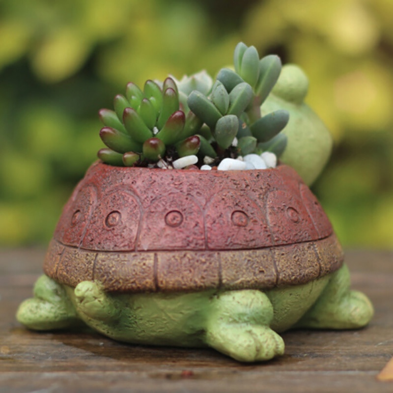 Turtle Shaped Flower Pot